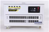 12kw汽油發電機價格
