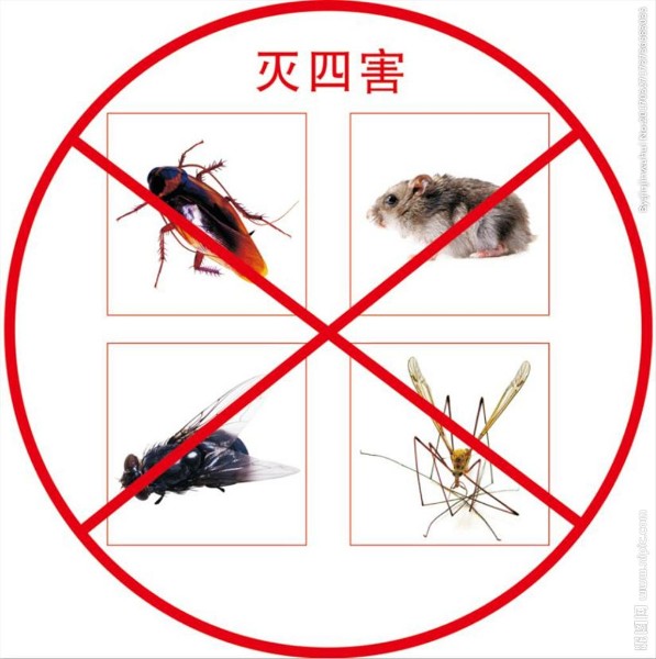 中山除四害白蚁防治-家庭中常见的有害生物有哪些？