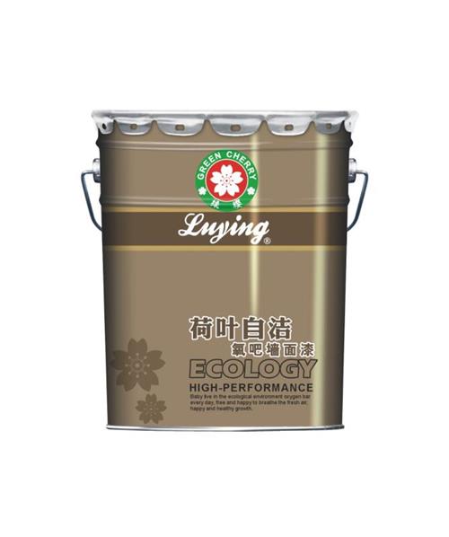 荷叶自洁氧吧墙面漆