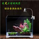 你需要曉得的水族造景技巧