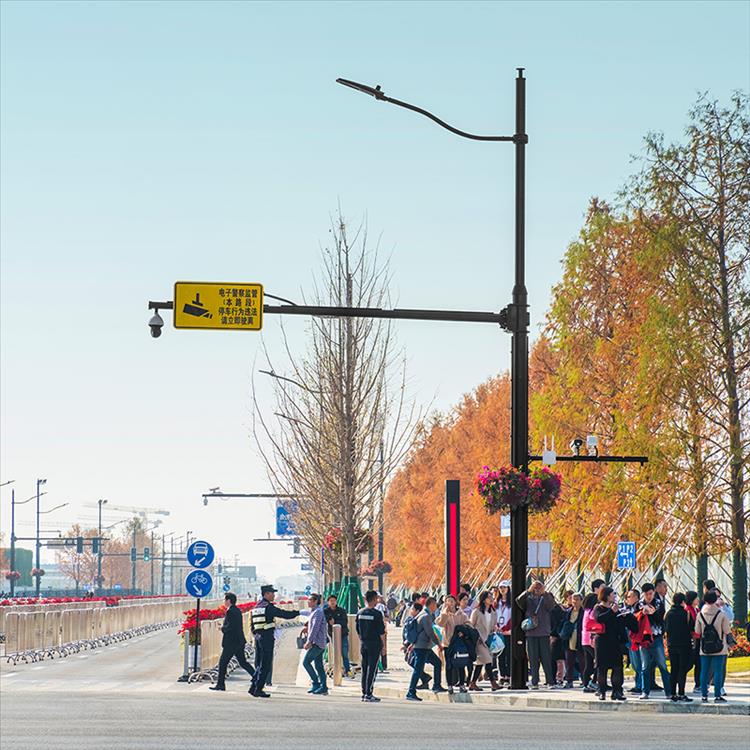 智慧路灯共杆共箱 智慧路灯建设项目 一体化路灯杆
