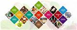 2020廣州國(guó)際食品及飲料展覽會(huì)