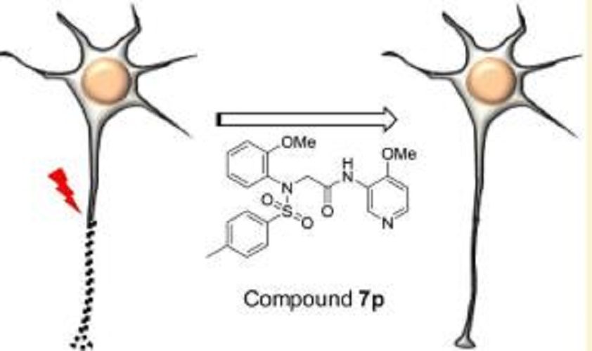 Compound 7P