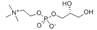 (5R)-5-(哌啶-1-羰基)吡咯烷-2-酮