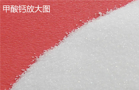 山東含甲酸的鈣鹽甲酸鈣廠家直供原始圖片3