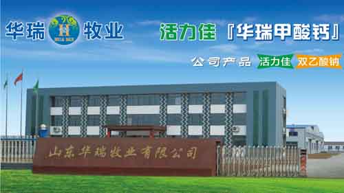防止青貯飼料滋生李斯特菌的雙乙酸鈉生產(chǎn)廠家原始圖片3