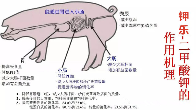 山东德州厂家直销二甲酸钾营养功能与作用