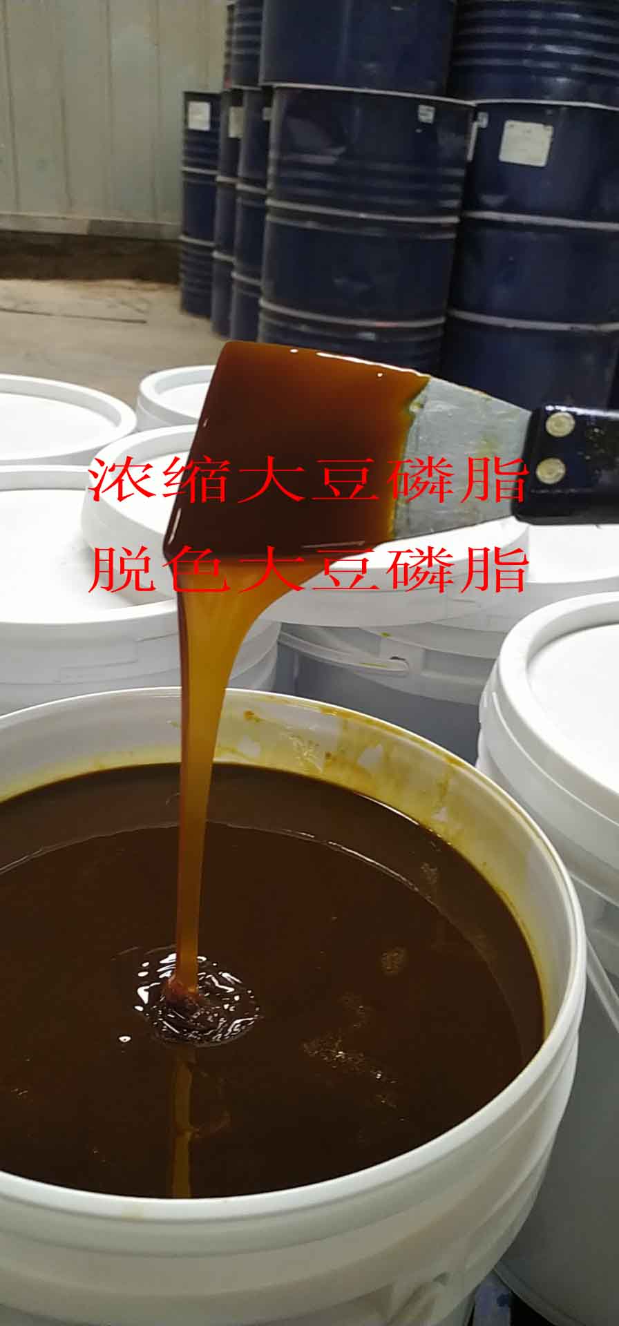 供应食品级大豆磷脂液的价格 浓缩大豆磷脂油厂家