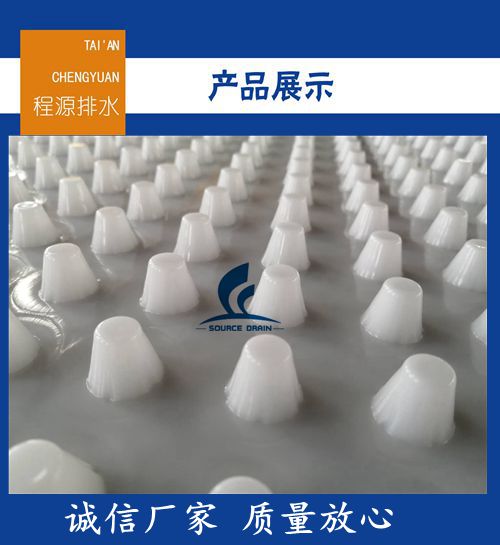 澤瑞 凸片排水板 阻根排水板 小區綠化蓄排水板原始圖片2