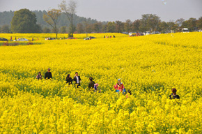 南京地接旅游景点,南京星辉文化国际旅行社之国际慢城jinhua篇