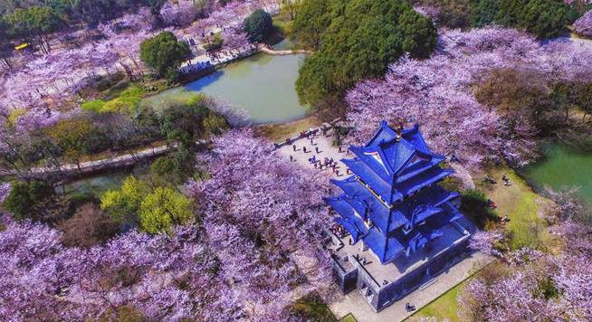 無錫地接之無錫一日游