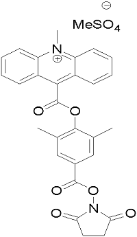 異魯米諾/4-氨基鄰苯二甲酰肼