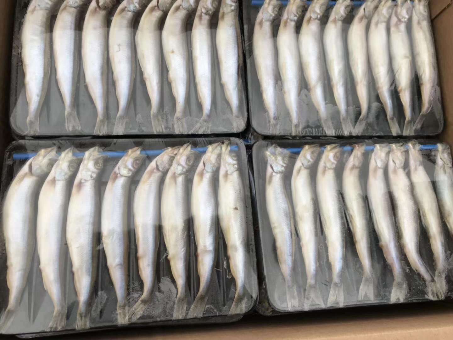 生產(chǎn)燒雞盒子 烤鴨盒子 燒鵝盒子 魚盒 肉卷盒 大型塑料包裝盒 封口盒生產(chǎn)廠家