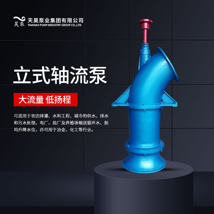 天津ZLB/Q-135立式軸流泵廠家價格原始圖片3