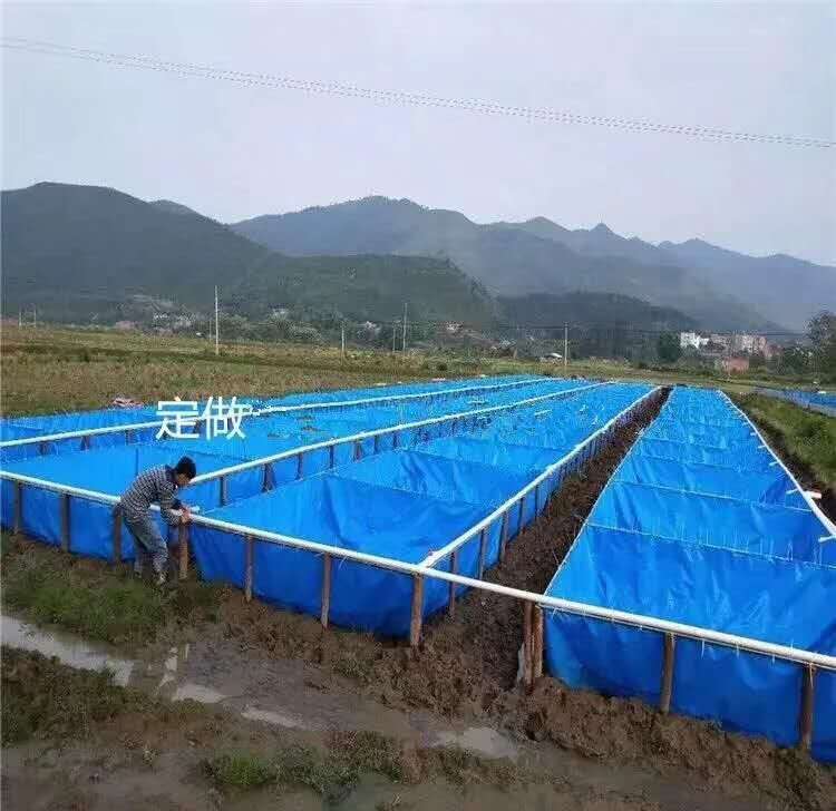 帆布蓄水池定做 帆布魚池加工 帆布游泳池訂做 防水魚池篷布