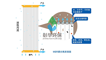 （MBR）膜生物反应器