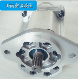 薩奧丹佛斯柱塞泵串齒輪泵LRR-025C LS2020NNN3C2AGA6NPLBNNNNNN