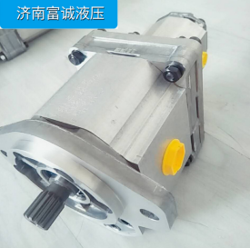 薩奧丹佛斯柱塞泵串齒輪泵LRR-025C LS2020NNN3C2AGA6NPLBNNNNNN