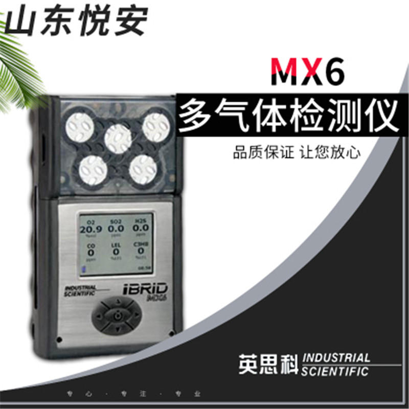 美國ISC英思科MX6多氣體檢測儀 復合式多氣體檢測儀EX O2 CO H2S