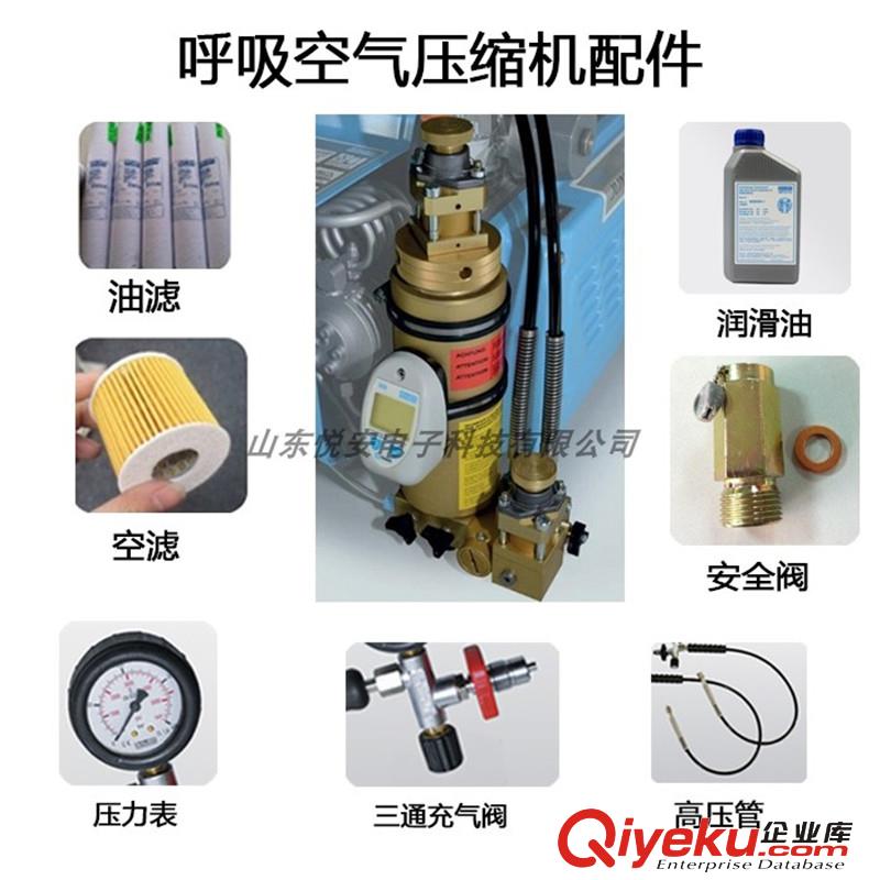 BAUER寶華空氣壓縮機JUNIOR II-E100L流量消防潛水氣瓶充氣泵