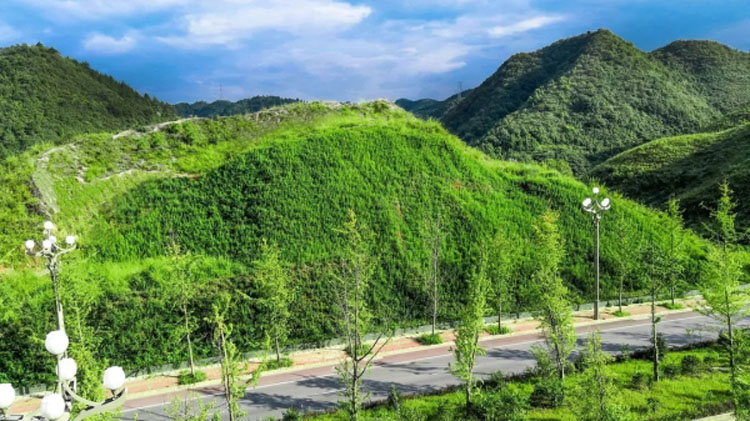 生態(tài)-綠化混凝土-植被-BSC生物基質(zhì)-植生混凝土