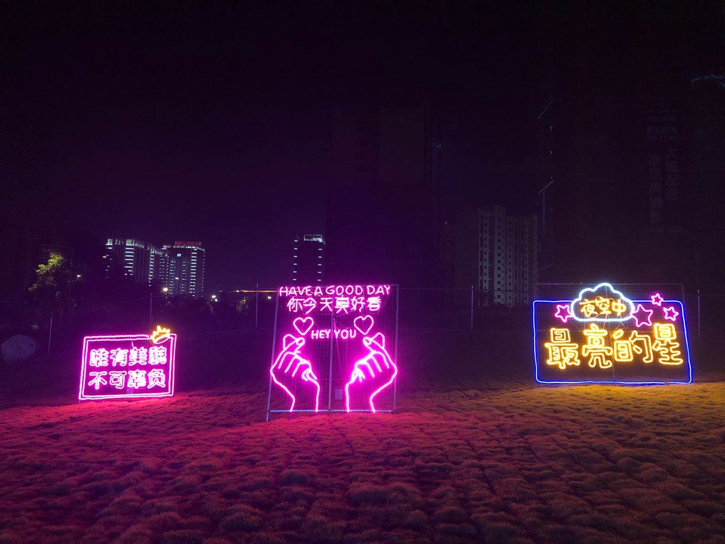 江西吉安燈光展制作設計燈光節造型制作樹木亮化燈光秀布展